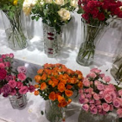 Seller Image